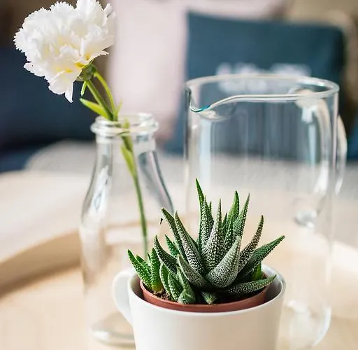 Lägenhet Nadmorskie